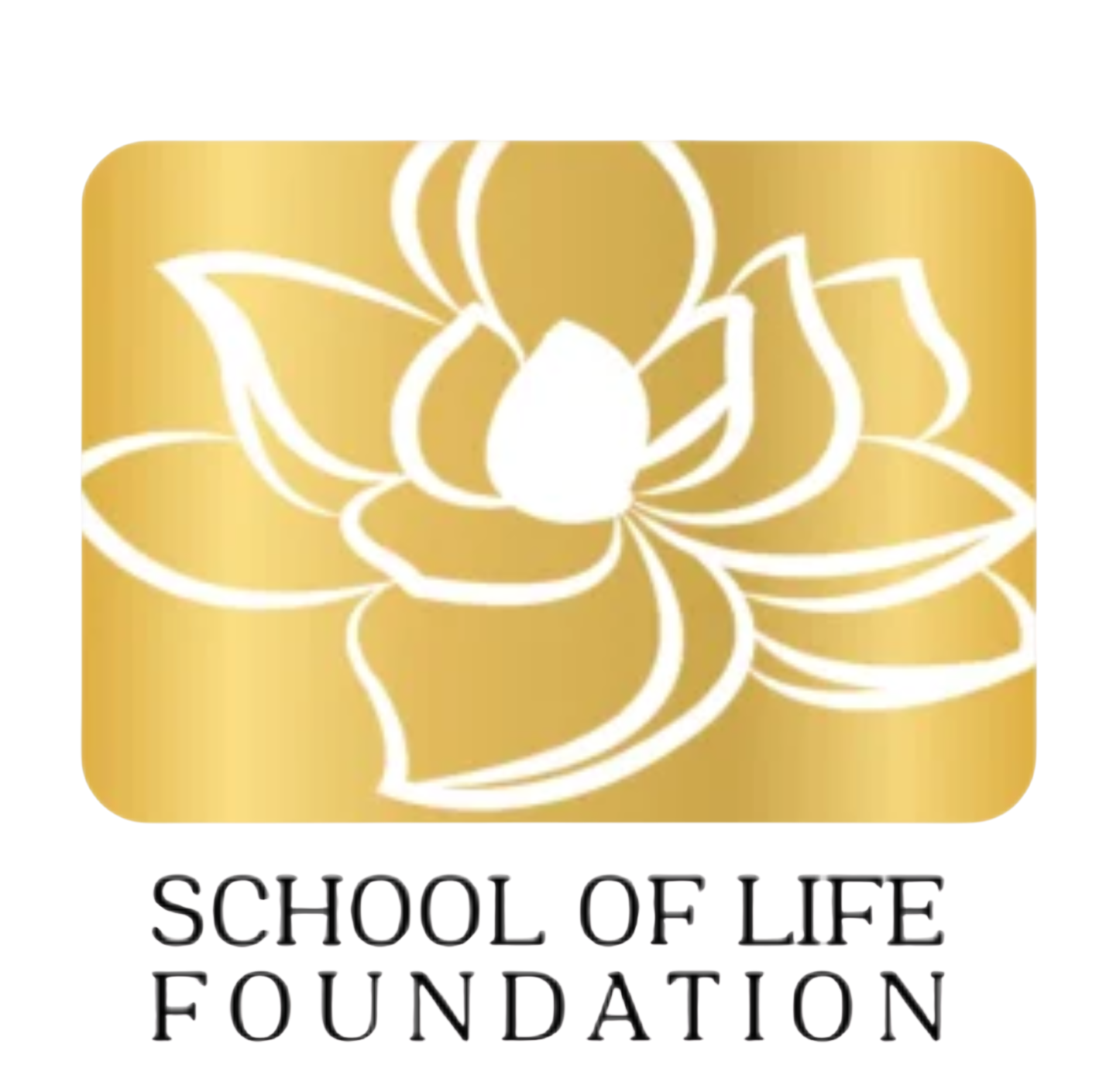 School of Life